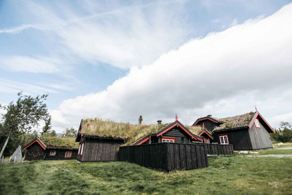 Sprøytesåing for raskt og robust gressdekke